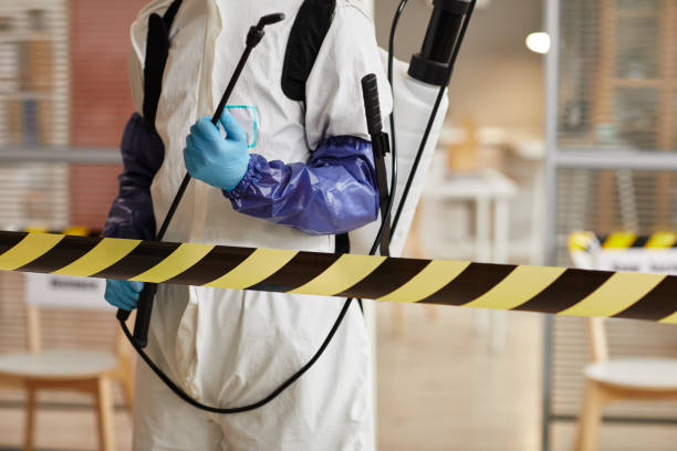 Professional Sewage Cleanup technician working in Festus, MO